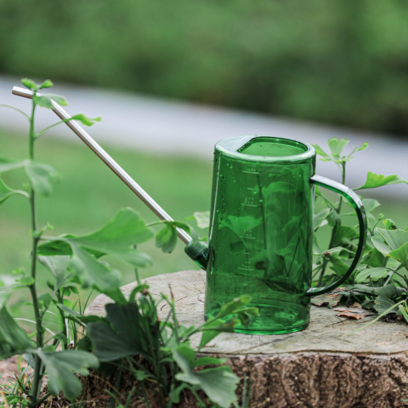 1L/1.5L 실내 식물 물뿌리개 투명 분리형 스테인리 - Gardening Tools For Beginners 리뷰 및 가격