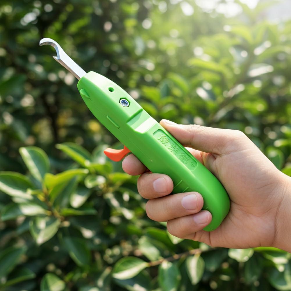 과일 및 채소 수확용 가위, 정원용 전정 가위, 곡선형 - Gardening Tools Basic 리뷰 및 가격
