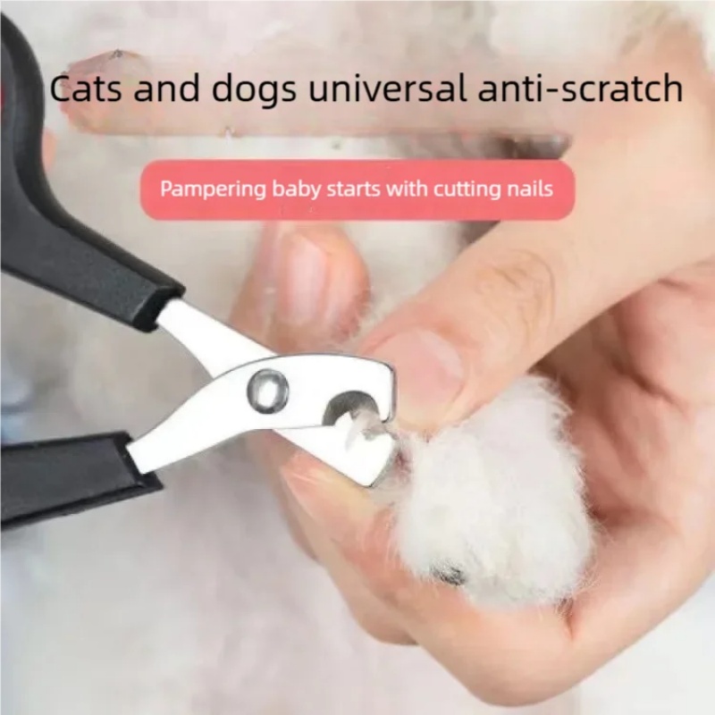 강아지 고양이 애완동물용 발톱깎이 - 애완동물 관리용  - Gardening Tools Basic 리뷰 및 가격