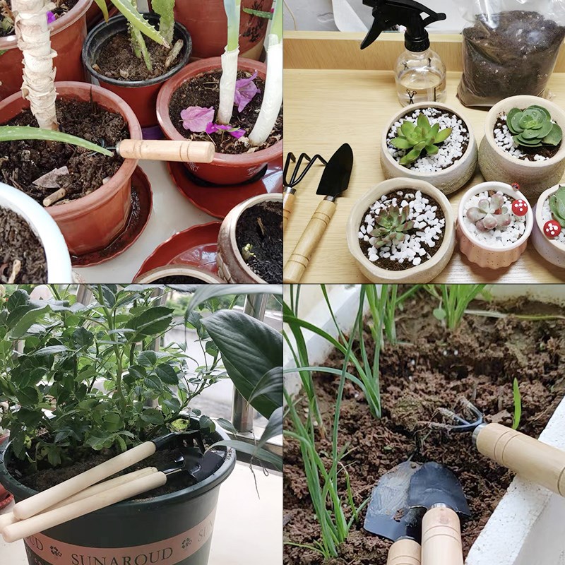 3PC/1세트 미니 원예 도구 세트 휴대용 소형 원예  - Gardening Tools Gifts 리뷰 및 가격