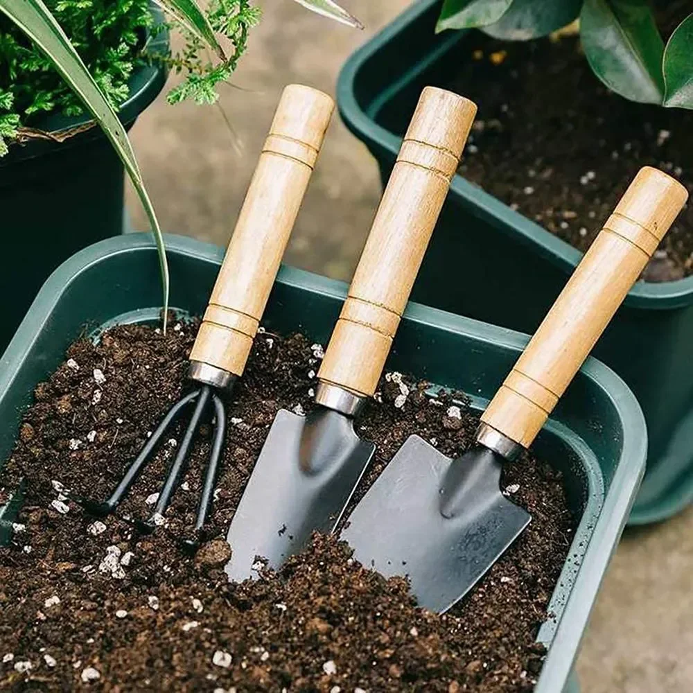 3개/세트 미니 정원 도구 세트 소형 실내 식물 관리용 - Gardening Tools Gifts 리뷰 및 가격