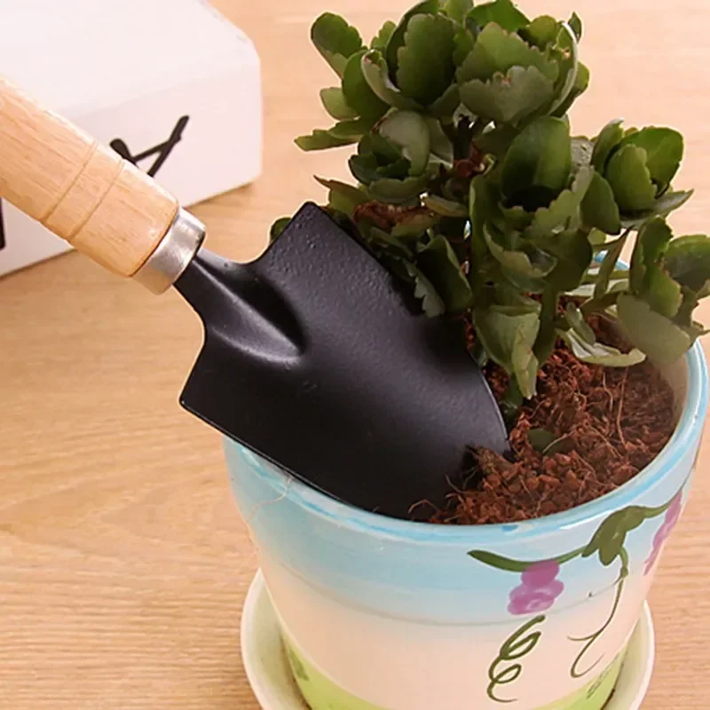 3개/세트 미니 정원 도구 세트 소형 실내 식물 관리용 - Gardening Tools Gifts 리뷰 및 가격