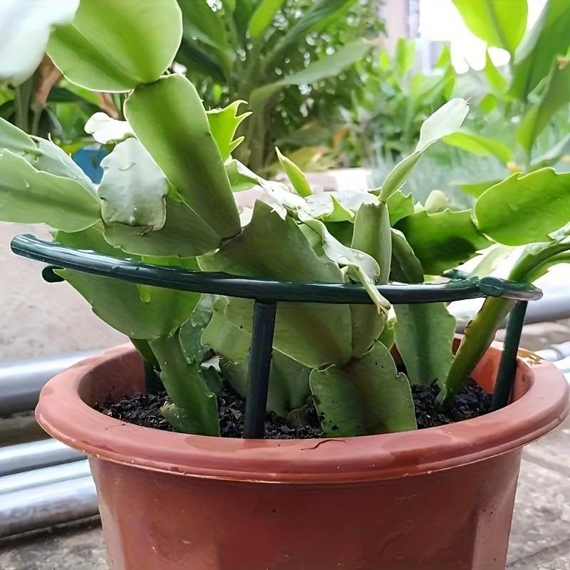 30-1개 플라스틱 식물 지지대 반원형 말뚝 프레임 고 - Gardening Tools Gifts 리뷰 및 가격