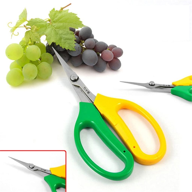 다기능 앨리스 정원 가위 부드러운 손잡이와 곡선 블레이 - Gardening Tools Sale 리뷰 및 가격
