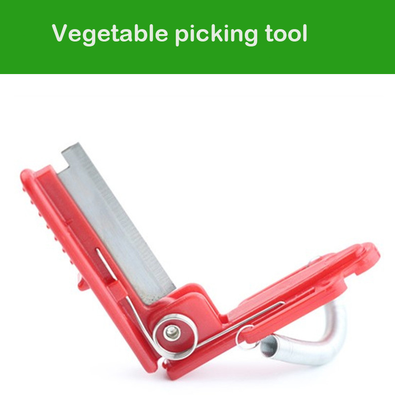 칼 분리기 야채 과일 수확 농장 정원 과수원 야채 Th - Gardening Tools Sale 리뷰 및 가격