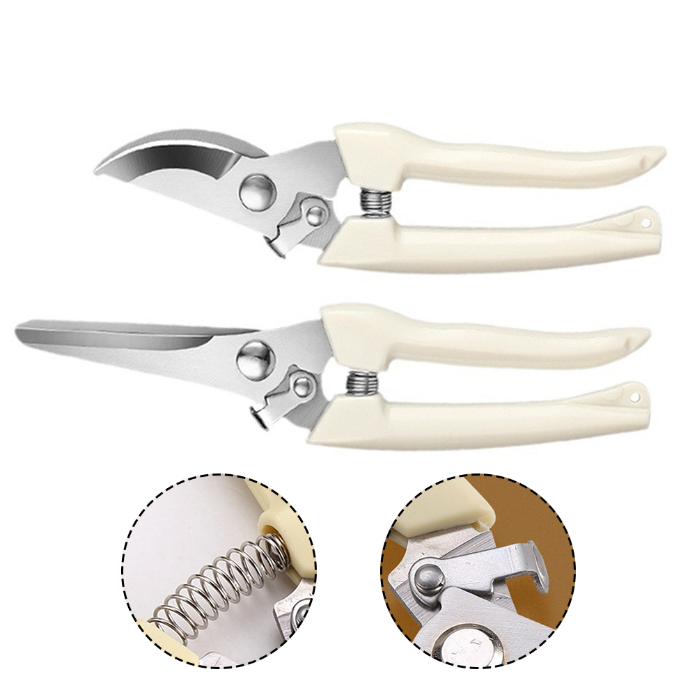 원예용 스테인리스 스틸 가지치기 가위, 분재용 수공구, - Gardening Tools Sale 리뷰 및 가격