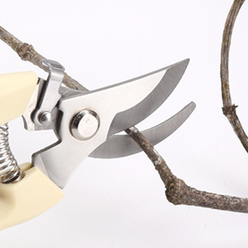 원예용 스테인리스 스틸 가지치기 가위, 분재용 수공구, - Gardening Tools Sale 리뷰 및 가격