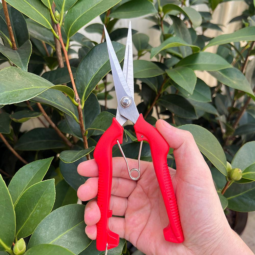 프로 가든 전정가위 연장형 나무 꽃 가위 수제 분재 가 - Gardening Tools Basic 리뷰 및 가격