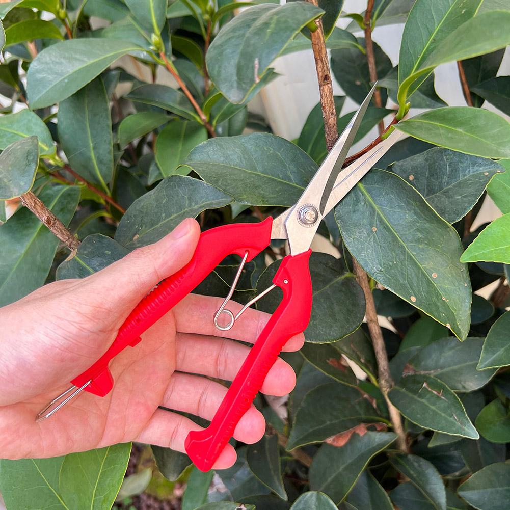 프로 가든 전정가위 연장형 나무 꽃 가위 수제 분재 가 - Gardening Tools Basic 리뷰 및 가격