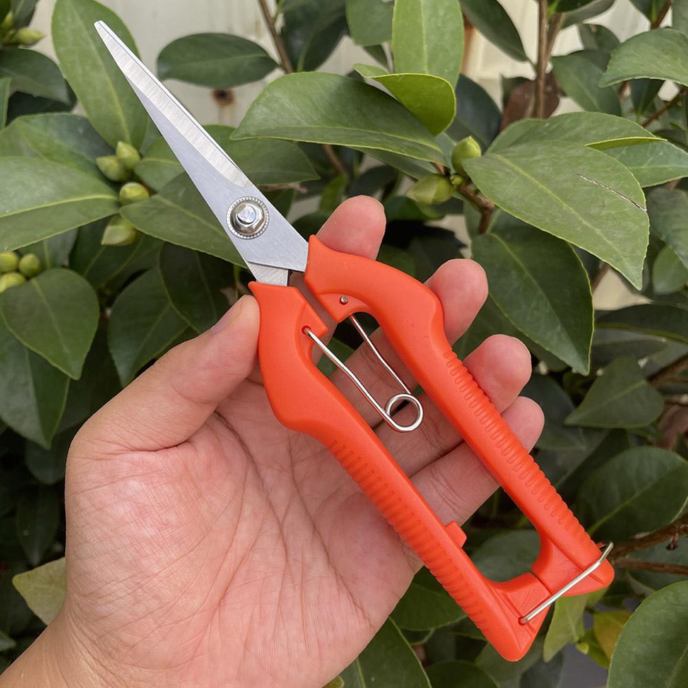 프로 가든 전정가위 연장형 나무 꽃 가위 수제 분재 가 - Gardening Tools Basic 리뷰 및 가격