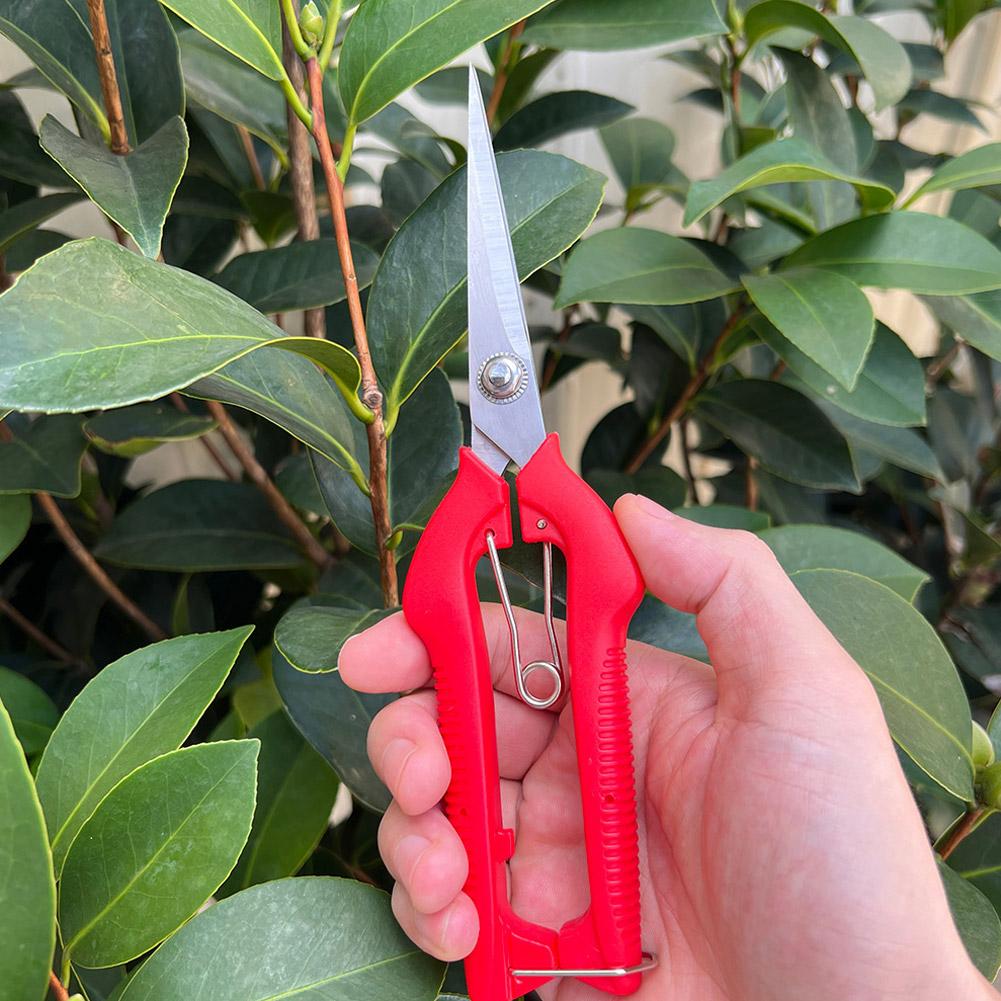 프로 가든 전정가위 연장형 나무 꽃 가위 수제 분재 가 - Gardening Tools Basic 리뷰 및 가격