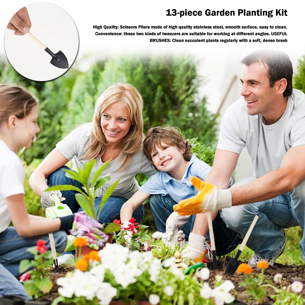 즙이 많은 식물 도구 미니 정원 손 도구 이식 야외 분 - Gardening Tools Sale 리뷰 및 가격