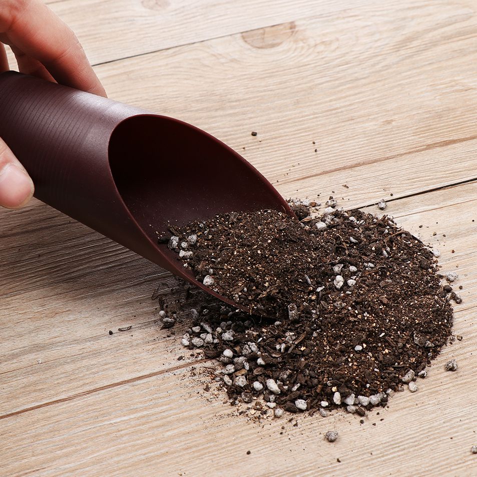 정원용 플라스틱 토양 삽 컵, 토양 스페이드 재배 양동 - Gardening Tools Gifts 리뷰 및 가격